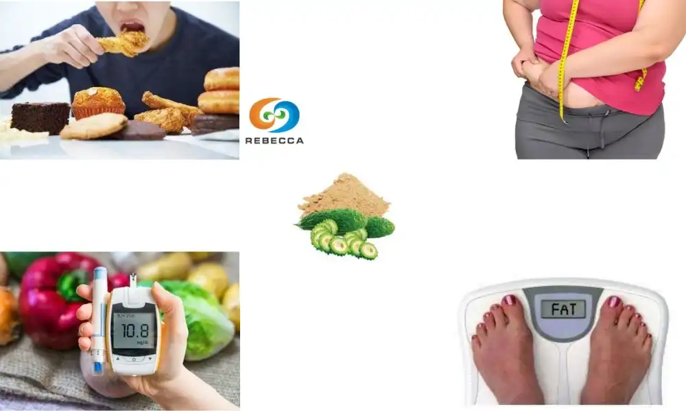 Bitter Melon Extract Powder for Weight Management: Myth or Reality?